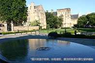 新加坡技術與設計大學一年費用多少錢？