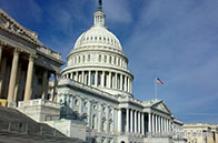 咨詢?nèi)绾螠?zhǔn)備申請耶魯大學(xué)?