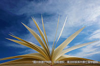 在廣州如何找到靠譜的留學機構？