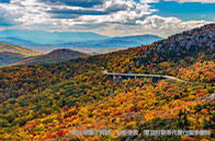 多倫多大學(xué)和阿爾伯塔大學(xué)選哪個(gè)比較好？