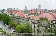 NTU科學家成功培養出單細胞蛋白質