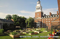 咨詢如何準備申請耶魯大學？