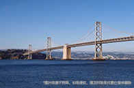 熱門專業|加拿大信息學碩士