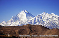 各檔高考分數能申請QS100哪些高校？