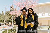 美國DS和MIS專業區別有哪些？