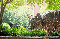 達爾豪斯大學(xué)2025世界排名情況：暴漲23位，世界第275