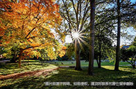 新加坡國立大學計算機碩士學費多少錢？