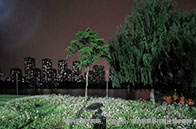 大幾能申請美國留學研究生？