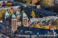 戴爾豪斯大學(xué)學(xué)費多貴？