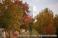 看過來!英國最危險與最安全的大學出爐啦!