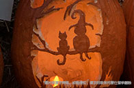 2024QS世界一流學科排名解析