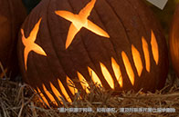 什么人適合申請萊斯大學？