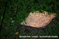 加拿大環(huán)境專業(yè)就業(yè)前景怎么樣？