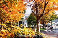 南洋理工大學(xué)電子科學(xué)專業(yè)學(xué)費多少錢？