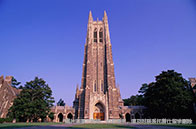 川普放言畢業即可獲綠卡!美國留學生獲得綠卡有多難?