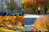 好消息！新國大化工系推出過程安全數字化課程