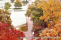 萊斯大學(xué)ED錄取率多少？