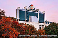 多倫多大學金融風險管理碩士怎么樣？