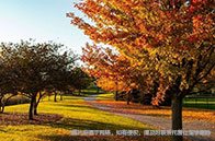 最新|NUS春季入學理工科項目公布