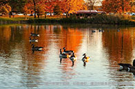 多倫多大學qs排名世界第幾：2025年第25位