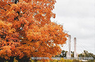 NTU公共管理研究生院英文授課項(xiàng)目開放申請