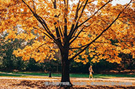 華威大學教育專業費用多少？