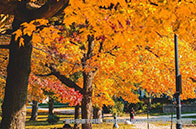 英屬哥倫比亞大學博士申請須知