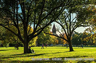 加拿大留學不同地區租金一覽