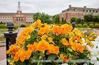 咨詢?nèi)绾螠?zhǔn)備申請(qǐng)耶魯大學(xué)？