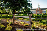 新加坡國立大學本科學費多少錢？