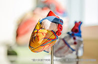 NUS EBAC項(xiàng)目錄取解析