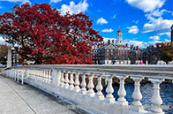 AP考試成績可以取消嗎？是的！