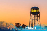 蒙特利爾大學(xué)2025qs排名第幾？世界第159！