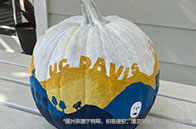 接受雅思拼分的加拿大大學(xué)有哪些?