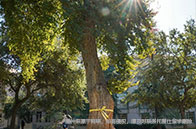 新！6-8月全國GMAT線下考試考位剩余情況（涵蓋18省市）