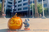 分享|紐約大學在讀學生評價