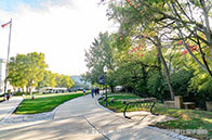 佛羅里達大學世界排名第幾？全球100+