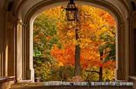 麥吉爾大學生物工程專業課程設置