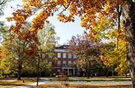 加州大學戴維斯分校商科接受本科申請嗎？