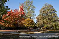 南洋理工大學(xué)筆譯與口譯文學(xué)碩士怎么樣?