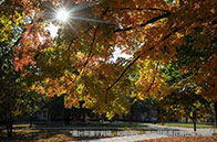 韋仕敦大學英語教學碩士入學條件有哪些？