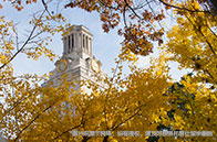 加拿大牙科研究生申請條件有哪些？