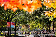 NUS大學食品與營養碩士25秋提前批申請時間公布