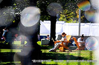 塔夫茨大學申請條件解析（從招生畫像出發）