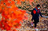 UBC大學(xué)本科商業(yè)專業(yè)申請要求有哪些？