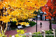 在UIUC讀書是一種什么體驗？挑戰與趣味并存！