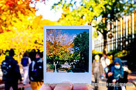 加州大學2025秋季申請趨勢解析