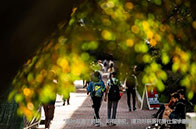 加拿大高校最新qs排名情況（前400名單）