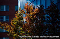 好消息！滑鐵盧大學量子研究獲政府千萬投資