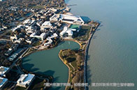 華盛頓大學西雅圖分校計算機排名變化